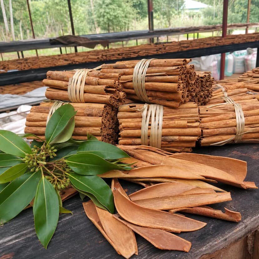 Cinnamon