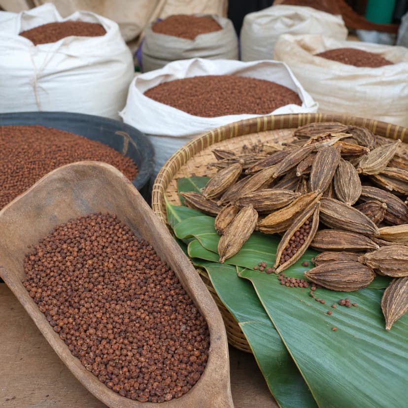 Grains of paradise