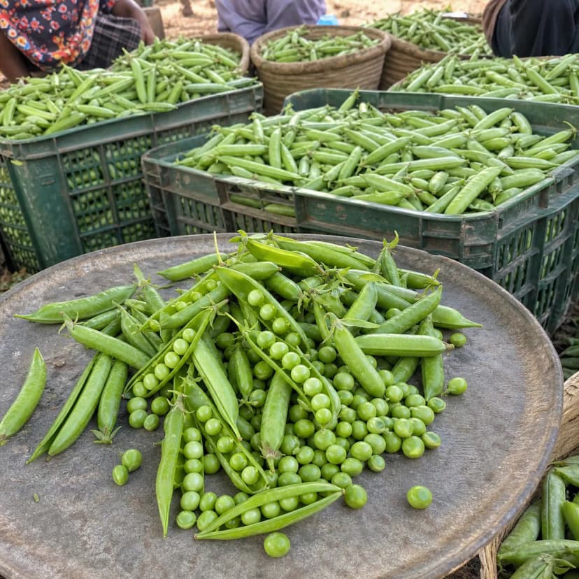 Petit pois
